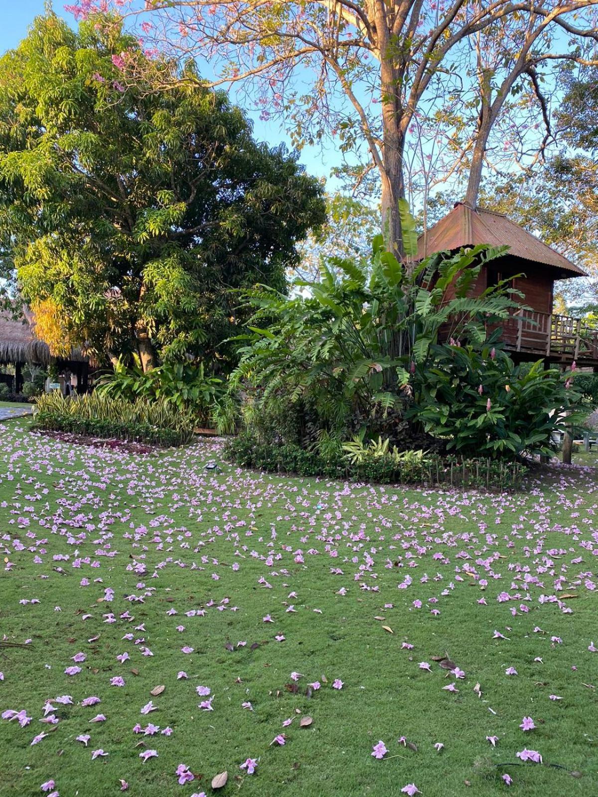 La Bonita Luxury Ecohotel Sahagun المظهر الخارجي الصورة